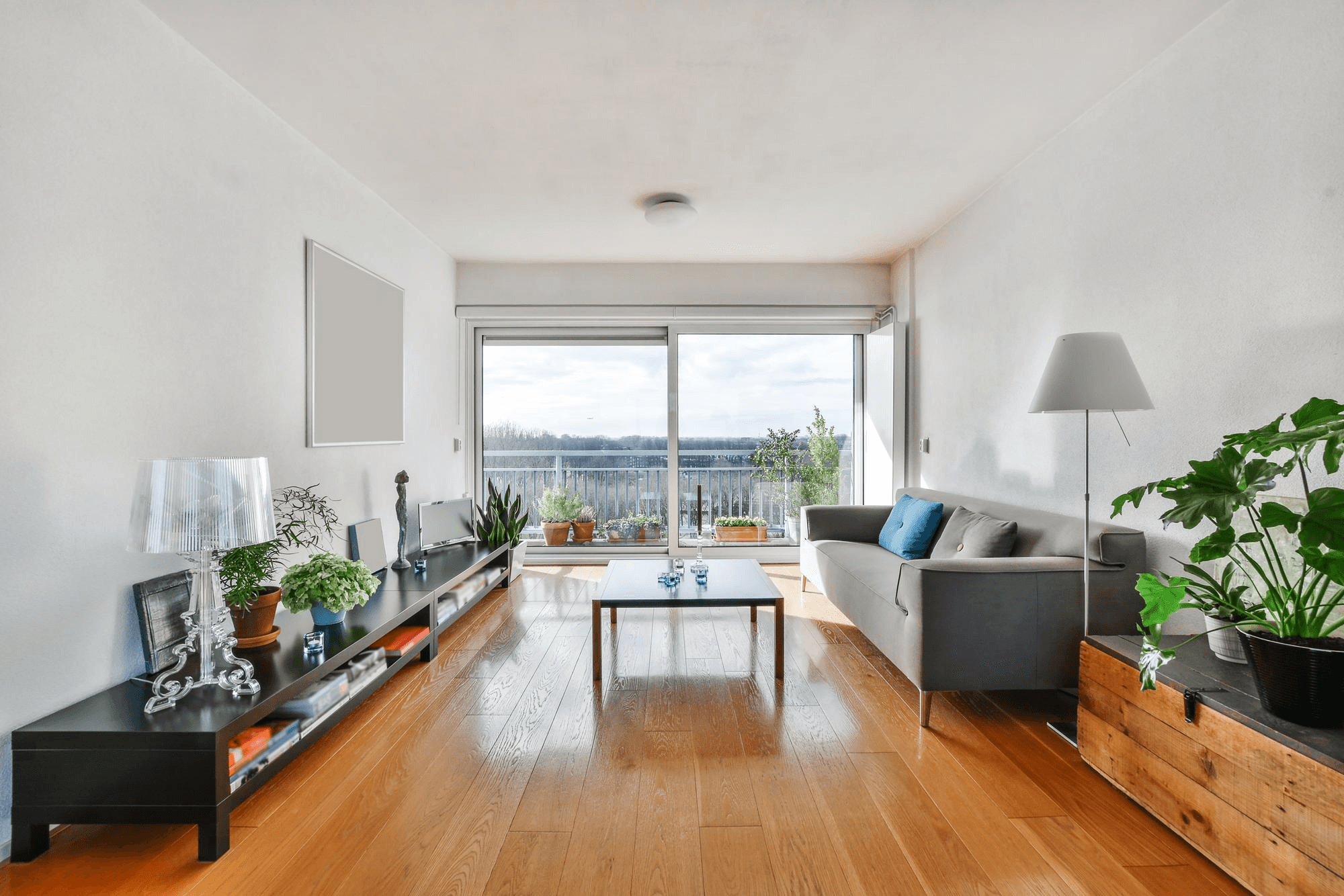 Modern living room with wooden flooring and contemporary furniture